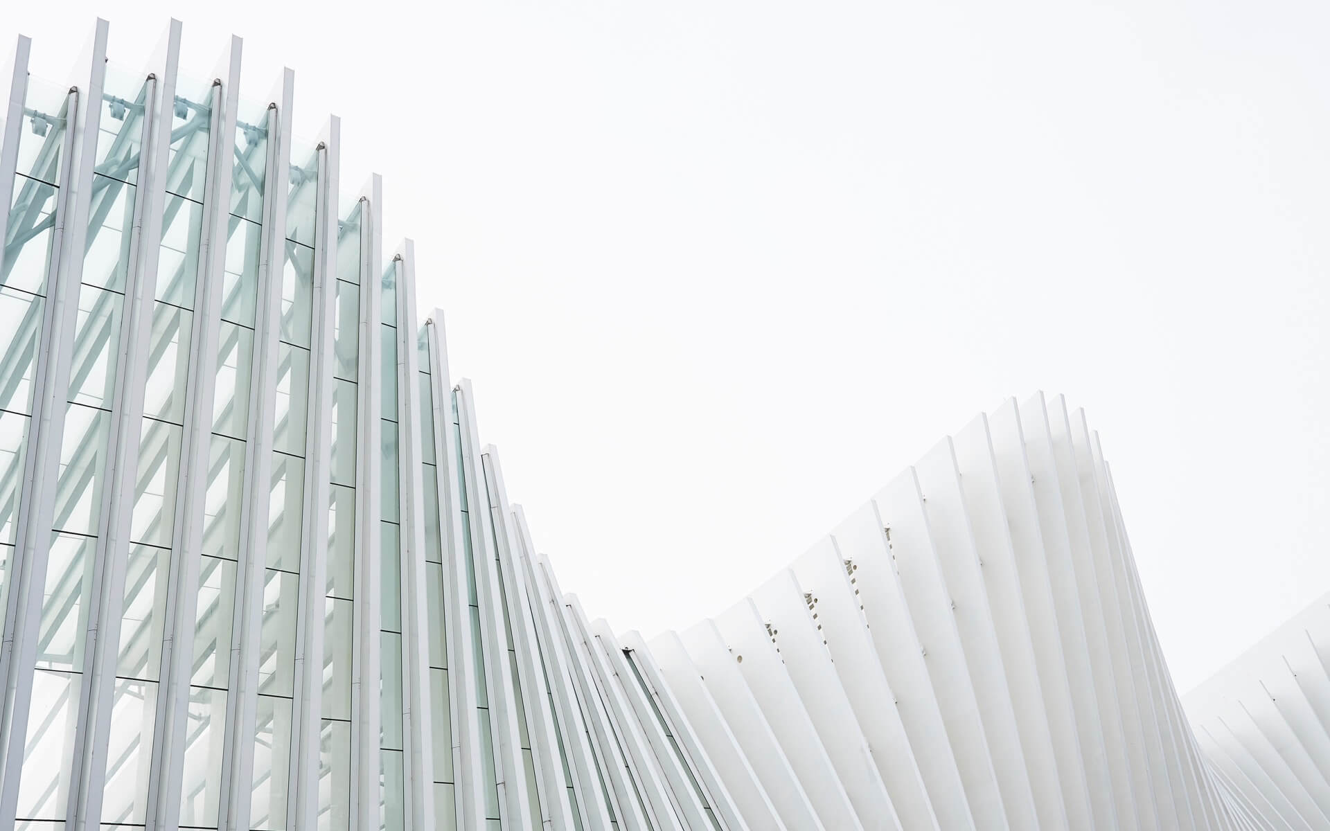 Moving to a New City: How to Adapt to a New Environment